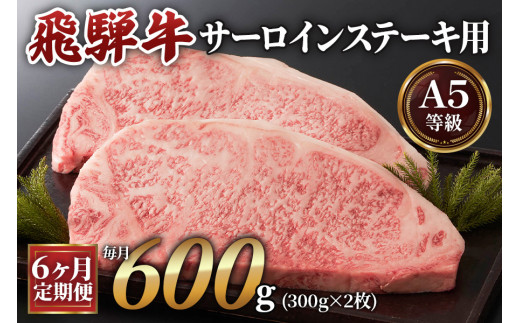 [6][A5]ˋT[CXe[Lp 600g(300g×2) [0342]򕌌{s200000