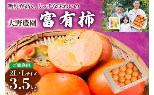 yߘa7NYz s\ s`̉lt_̕xL`ƒp2LELTCY (3.5kg)yx b`Ȗ킢̕xL`z11{`12{\ [0630]򕌌{s10000ʕEt[c