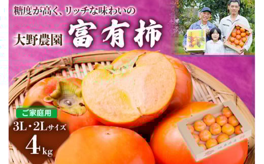 yߘa7NYz s\ s`̉lt_̕xL`ƒp3LE2LTCY (4kg)yx b`Ȗ킢̕xL`z11{`12{\ [1043]򕌌{s13000ʕEt[c