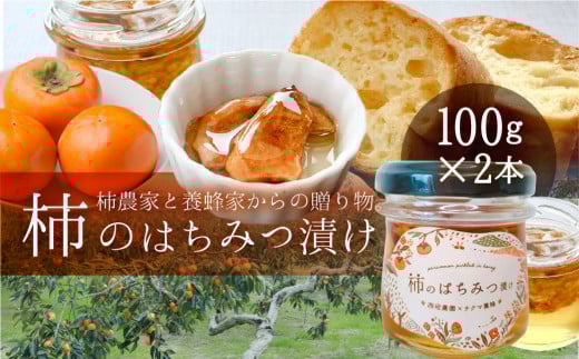 __ xL` ݂͂Ђ 2Zbg | `  n`~c hCt[c S SԖ [mt493]򕌌{s11000ZbgE؁EHHiWE݂͂