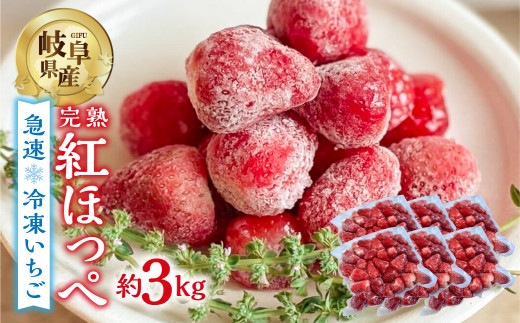 【2026年5月より発送】《 訳あり 》 冷凍いちご 紅ほっぺ 3kg (500g × 6p) 簡易梱包 サイズ 不揃い のため 訳あり 訳アリ フルーツ 果物 苺 いちご イチゴ アイス ヨーグルト 苺 family農園watanabe 子