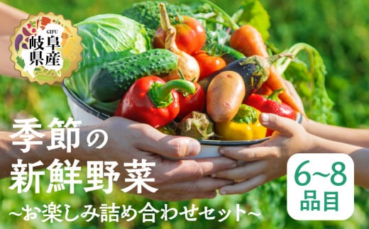 季節の野菜セットA 6〜8品目 品目おまかせ BBQ 春 夏 秋 冬 野菜 料理 自宅用 岐阜県産 本巣市 新鮮 やさい 数量限定 冷蔵 道の駅 織部の里岐阜県本巣市8000野菜・きのこその他 野菜