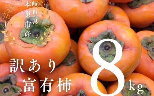 y2025N11{`zߘa7NY 󂠂 xL` 8kg TCY ܂ `  t[c  ӂ䂤 ʕ 킯 A s KiO  ӂ낢 Bi t[c {s 10000~ 1~ 11