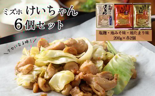 ミズホけいちゃん6個セット(塩麹、地みそ味、地たまり味 200g×各2個)冷凍配送 けいちゃん 鶏ちゃん 鶏肉 味付け 味付き 焼くだけ 簡単調理岐阜県下呂市9000肉その他 肉