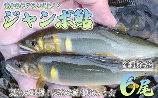 【期間限定】(発送時期:2025年7月中旬〜12月頃まで)【ジャンボ鮎】清流が育む天然の馬瀬川鮎 6尾(重さ80g以上)  冷凍 鮎 アユ あゆ 大岐阜県下呂市22000魚介・海産物鮮魚