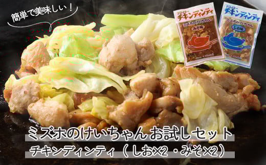 ミズホのケイちゃんお試しセット チキンディンティ(しお×2 みそ×2) 計4個 冷凍配送 けいちゃん 鶏ちゃん 鶏肉 味付け 味付き 焼くだけ 簡単調理岐阜県下呂市5000肉鶏肉