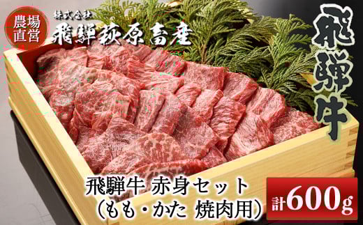 飛騨牛赤身焼肉セット 600g(もも焼肉 300g・かた焼肉 300g)焼肉 焼き肉用 飛騨牛 赤身 最高級 国産 牛肉 ブランド牛  和牛 焼き肉 ギフト 贈答 【冷凍】岐阜県下呂市35000肉牛肉