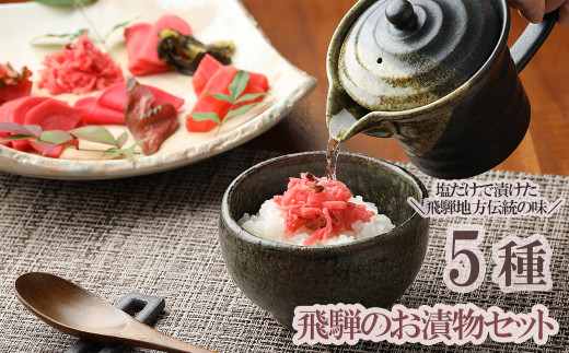 飛騨のお漬物 5種類セット 漬け物 飛騨 詰め合わせ つけもの 漬物 下呂市 下呂岐阜県下呂市7000鍋セット・総菜・加工食品漬物・梅干・キムチ
