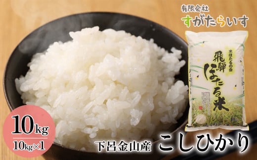新米【令和7年産米】こしひかり 10kg すがたらいす  2025年産 お米 米 精米 下呂市金山産 コシヒカリ すがたらいす 下呂岐阜県下呂市40000米・パン白米
