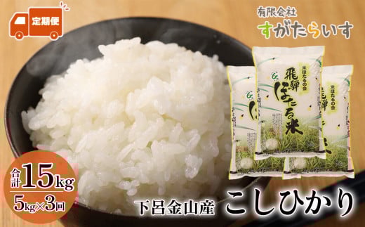 新米予約受付【令和7年産米】【定期便】こしひかり 5kg×3回 すがたらいす 下呂市金山産 2025年産 毎月 お米 米 精米 コシヒカリ 下呂温泉 下呂市 毎月 定期岐阜県下呂市60000米・パン白米