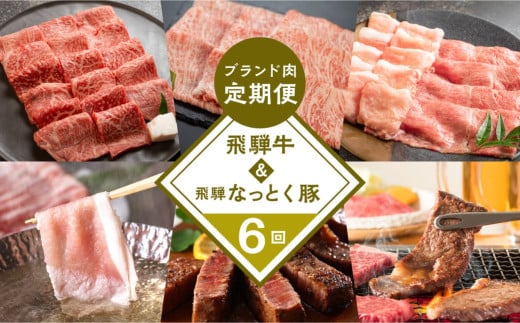 【定期便6回】 飛騨牛 & なっとく豚 ブランド肉 定期便 6回 牛肉 豚肉 (ステーキ / すき焼き / しゃぶしゃぶ / 焼き肉) カルビ イチボ お楽しみ 下呂温泉 おすすめ ブランド牛 赤身 霜降り 肉