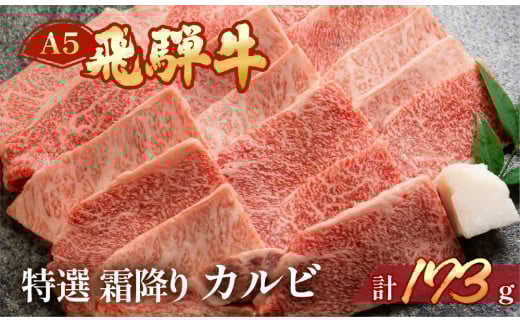 飛騨牛 A5 特選霜降りカルビ  173g(約2人前)【冷凍 真空】牛肉 霜降り しもふり 焼肉  牛 天狗 ブランド牛 焼き肉 下呂市 飛騨岐阜県下呂市10000肉牛肉