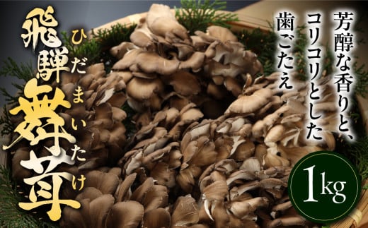 訳あり(簡易包装)飛騨舞茸 1kg マイタケ まいたけ キノコ きのこ TVで紹介された品 テレビで紹介 テレビで放送 訳アリ 1キロ岐阜県下呂市7000野菜・きのこきのこ