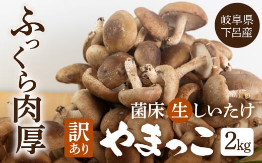 訳あり 不揃い【期間限定】(2025年11月から順次発送)菌床生椎茸 詰め合わせ 2kg(大・小・形 混合)生椎茸 規格外  訳アリ ふぞろい しいたけ シイタケ 生しいたけ 下呂温泉岐阜県下呂市1
