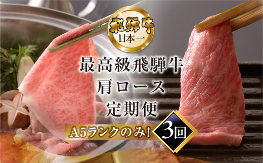 【定期便 3回】高級 飛騨牛食べ比べ 定期便 3カ月 毎月 【冷蔵配送】 定期 贈答 ギフト 牛肉 焼き肉 牛 下呂 焼肉 ブランド牛 下呂魚介 肩ロース すき焼き しゃぶしゃぶ 下呂市岐阜県下呂市90