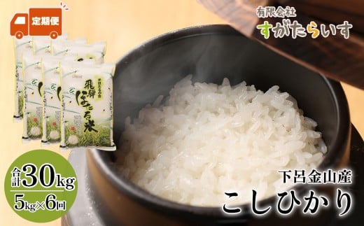 新米予約受付【令和7年産米】【定期便】こしひかり 5kg×6回 すがたらいす 下呂市金山産 2025年産 毎月 お米 米 精米 コシヒカリ 下呂温泉 下呂市 毎月 定期岐阜県下呂市120000米・パン白米