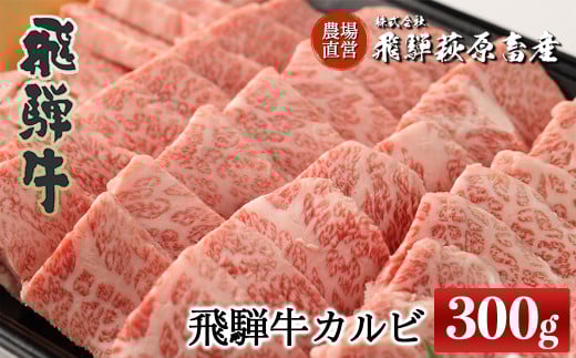 飛騨牛カルビ焼肉  300g  焼肉 牛肉 国産 ブランド牛 【冷凍】牛 肉 焼き肉 焼肉用 焼き肉用 ギフト 贈答 肉ギフト 贈り物 高級 下呂市岐阜県下呂市17000肉牛肉