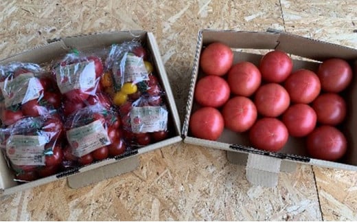 [5533-0123]g}glߍ킹Zbg򕌌CÎs10000؁Êg}g