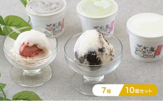 [5533-0192]IWiWF[gACX10Zbgi7j򕌌CÎs10000َqEXC[cACXEWF[g