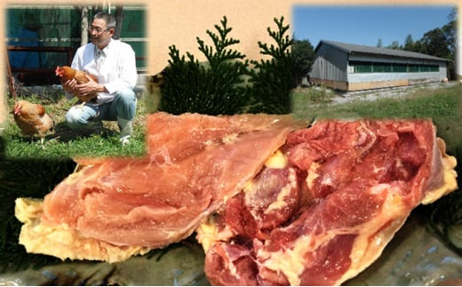 [5533-0296]_̖ ZÒn{Zbg򕌌CÎs15000{