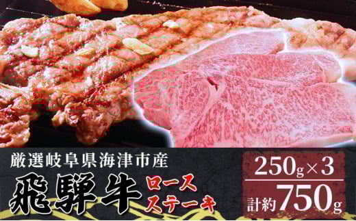 [5533-0317]yˋzCÎsY[XXe[L250g×3 yzBsFz򕌌CÎs55000