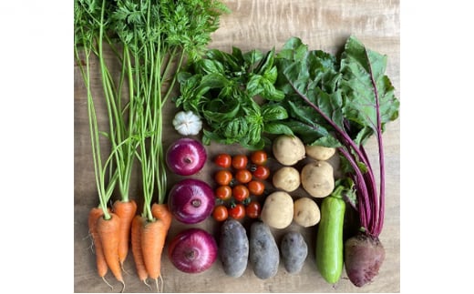 [5533-0342]G߂̖؃Zbg12A͂@͔|Ԓ@_AȊw엿򕌌CÎs126000؁Ê̑ 