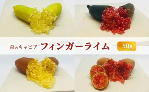 [5533-0424]tBK[C 50g X̃LrA LrAC t[cLrA򕌌CÎs13000ʕEt[c