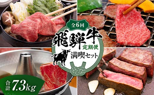 【定期便】飛騨牛 全6回 合計7.3kg 満喫セット ステーキ 焼肉 しゃぶしゃぶ すき焼き 牛肉 黒毛和牛 5等級 肉 牛 ビーフ 食品 岐阜県 坂祝町 さかほぎ F6M-062岐阜県坂祝町500000肉牛肉