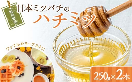岐阜県産 日本ミツバチのハチミツ 250g 2本セット はちみつ ハチミツ 蜂蜜 日本ミツバチ 二ホンミツバチ 無添加 岐阜県 坂祝町 F6M-273岐阜県坂祝町18000鍋セット・総菜・加工食品ジャム・はち