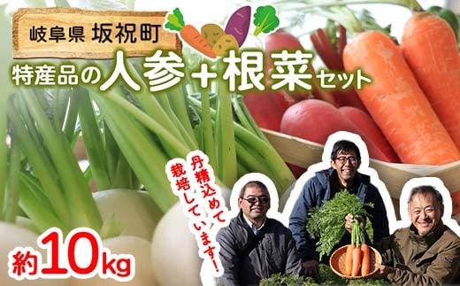 <先行予約>坂祝町の野菜根菜セット 季節の野菜 新鮮野菜 詰め合わせ 人参 じゃがいも イモ 芋 さつまいも かぶ カブ F6M-288岐阜県坂祝町17000野菜・きのこその他 野菜