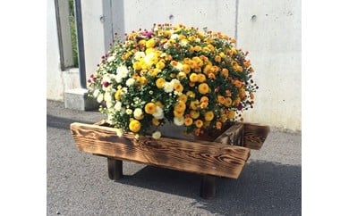 【30061】富加町産木曽杉BOX(小)岐阜県富加町30000衣類・装飾品・工芸品その他 装飾品・工芸品