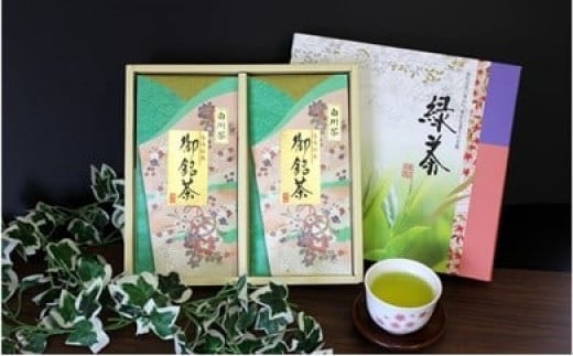 ※菊泉本舗 特選! 美濃白川茶詰合せ 80g×2袋 |美濃白川茶お茶 美濃白川茶緑茶 美濃白川茶高級 美濃白川茶贈答用 特選お茶 特選緑茶 特選高級 特選贈答用 詰合せお茶 詰合せ緑茶 詰