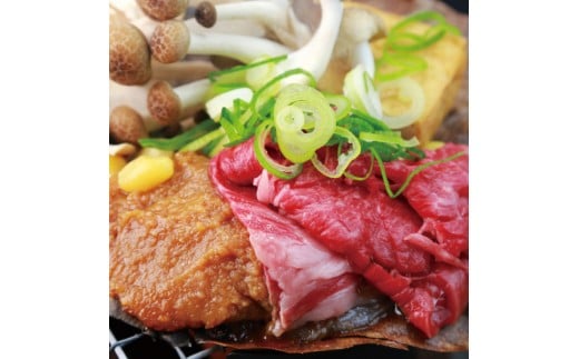 ※飛騨牛朴葉味噌セットNP-91岐阜県七宗町12000肉牛肉