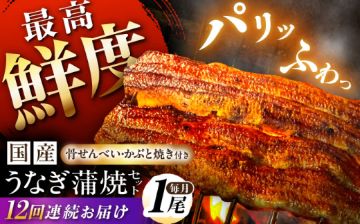 Vy12ցzyYz Y Ȃ̊ 1Zbg V EiM ^t 쒬 / K [AWBL009]򕌌쒬188000ECYȂ