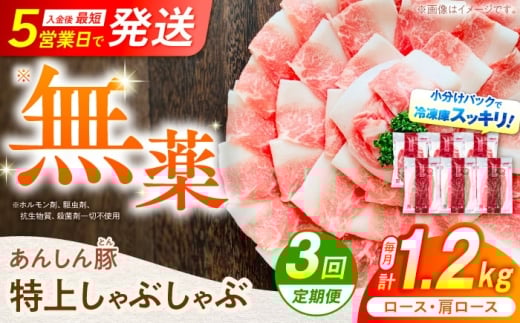 y3ցz񂵂 サԂԃZbg ؓ [X Y 쒬 / t@[ [AWAF010]򕌌쒬39000ؓ