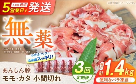 y3ցz sot EJ^ Ԑ؂ 1.4kg i280g×5܁j ؓ   ؂ 쒬 / t@[ [AWAF030]򕌌쒬35000ؓ