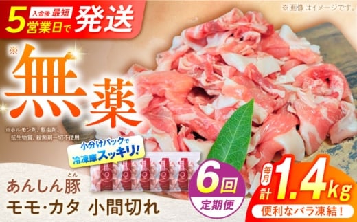 y6ցz sot EJ^ Ԑ؂ 1.4kg i280g×5܁j ؓ   ؂ 쒬 / t@[ [AWAF031]򕌌쒬69000ؓ