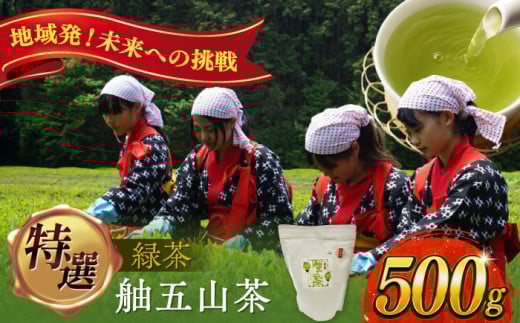 w܎R I 500 [AVAD001]򕌌䐓11000E