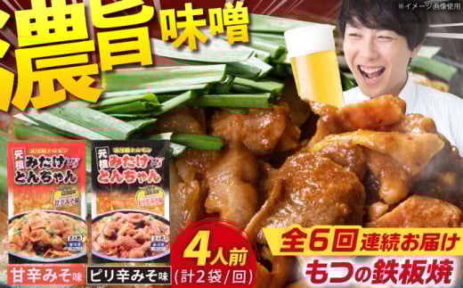 y6ցz򕌌Y؂̓SĂuc݂Ƃ񂿂vÐhsh e1܁i4lOj / c   z / 䐓 / 悵 [AVAA013]򕌌䐓34000ؓ