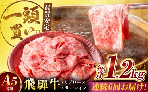 y6ցzˋT[CEu[X 1.2kg(400g×3pbN) ĂԂԗp / Jr  ē / 䐓 / n͉ [AVBO028]򕌌䐓360000