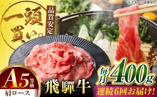 y6ցzˋ[X 400g×1pbN ĂԂԗp / Ă Ԃ  / 䐓 / n͉ [AVBO031]򕌌䐓90000