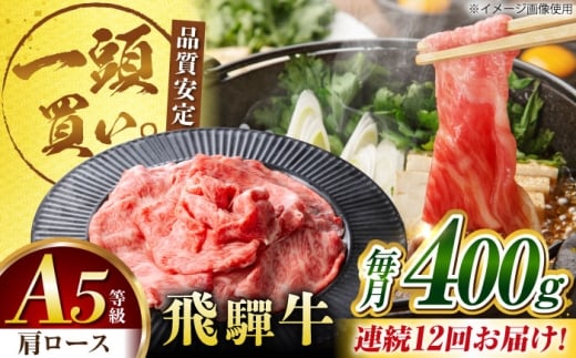 y12ցzˋ[X 400g×1pbN ĂԂԗp / Ă Ԃ  / 䐓 / n͉ [AVBO032]򕌌䐓180000