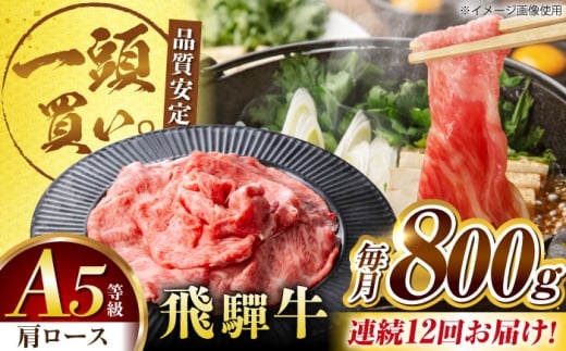 y12ցzˋ[X 800(400×2pbN) ĂԂԗp / Ă Ԃ  / 䐓 / n͉ [AVBO035]򕌌䐓360000