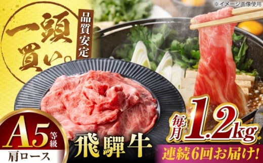 y6ցzˋ[X 1.2kg(400×3pbN) ĂԂԗp / Ă Ԃ  / 䐓 / n͉ [AVBO037]򕌌䐓270000