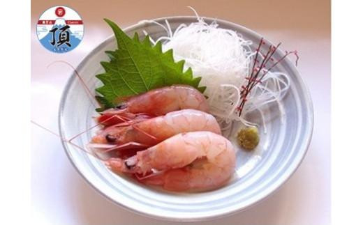 戸田の本えび 3パック(1パック300g 約8cmのものが17〜23尾程度)静岡県12000魚介・海産物エビ