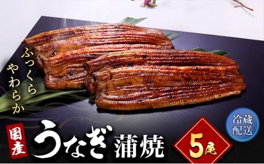 うなぎ 国産 長蒲焼 5尾 小分け 詰め合わせ 国産 うなぎ蒲焼 国産うなぎ 惣菜 おかず ギフト 贈答 贈答用 贈答品 土用の丑の日 丑の日 レンジ調理 レンチン 蒲焼き うな重 鰻 真空パック 冷蔵
