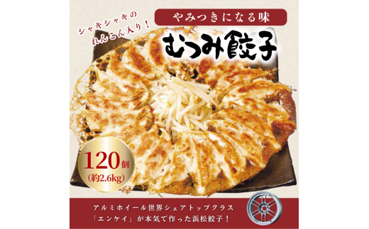 lLq ނLq120(30×4P)  Ⓚ RՂ ^Ahqt ނ݉ Yn y Hi Lq 傤 M[U yzsFz [5786-2859]Éls22000
