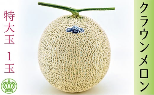 NE@ʁ@1ʁyzsFz [5786-2962]Éls21000ʕEt[cEXCJ