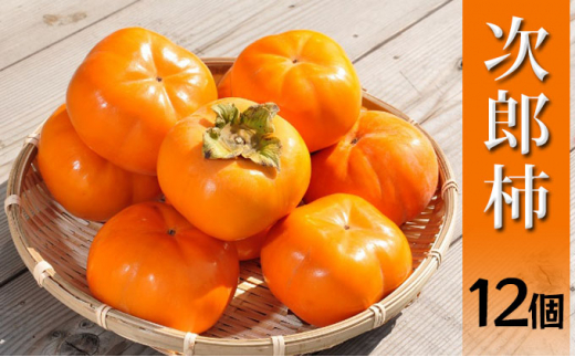 y2025N11{菇z Y` 2L 3kg 12 p  11{菇 `  ʕ  t[c {̉ʕ {̃t[c H̖o É ls[5786-3962]Él