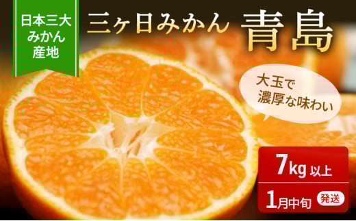 三ヶ日みかん 青島 7kg M〜2L 優品 1月中旬頃より順次発送 みかん ミカン 蜜柑 青島みかん 三ヶ日 果物 くだもの フルーツ 旬の果物 旬のフルーツ 柑橘 柑橘類 糖度 静岡 静岡県 浜松市 [5786-4